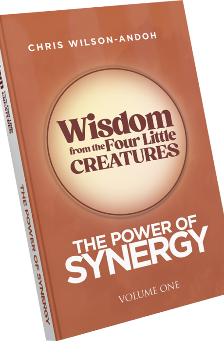 The Power Of Synergy