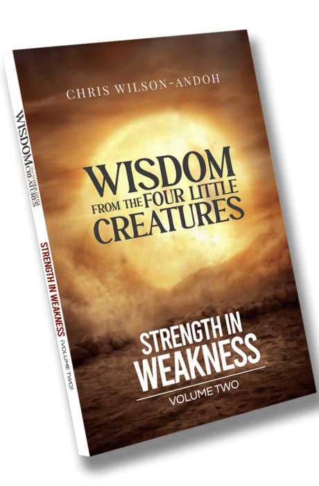 Strength in Weakness